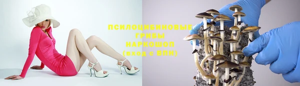 мдпв Арсеньев