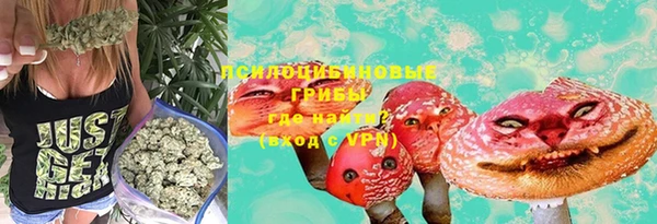 мдпв Арсеньев