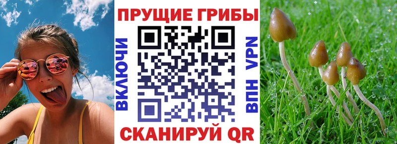 Галлюциногенные грибы мухоморы  Покровск 